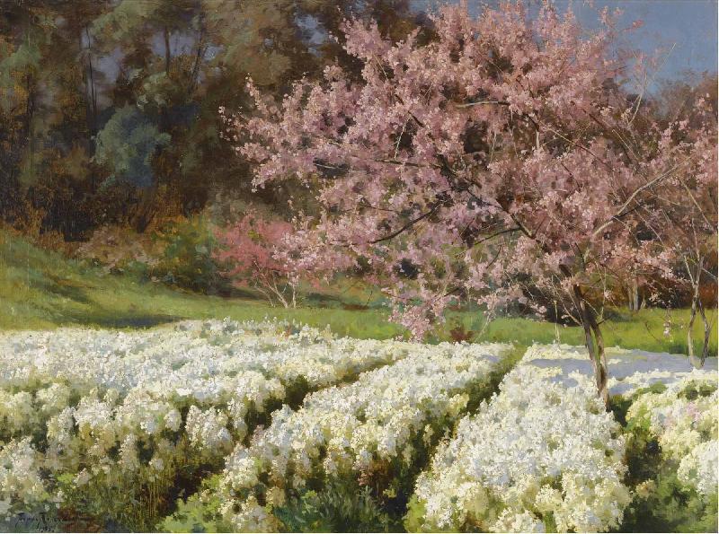 Antonio Mancini Spring blossom Sweden oil painting art